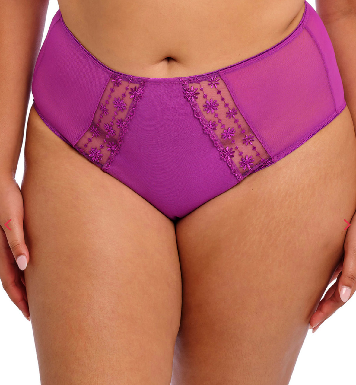 Elomi XL Matilda Full Brief Panty NWOT 8906 Hollyhock