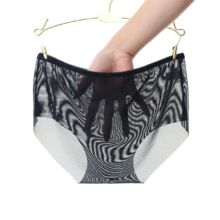 Vintage Style Sheer Transparent Nylon Panties Retro – Various colours and sizes