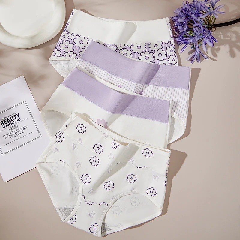 Women 5Pcs Fluxe Incontinence Underwear Leak-Proof Panties Cotton Brief Washable