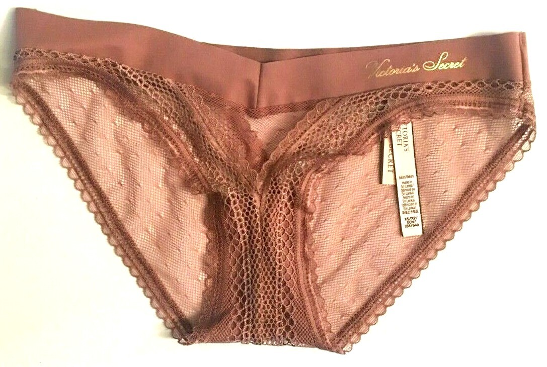 Victorias Secret Incredible Vintage Rose Mesh Bikini Panties Size XS Logo Waist