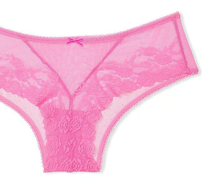 M Spring Taffy Pink Rose Floral ALL MESH Dot Victorias Secret CHEEKY Brief Panty