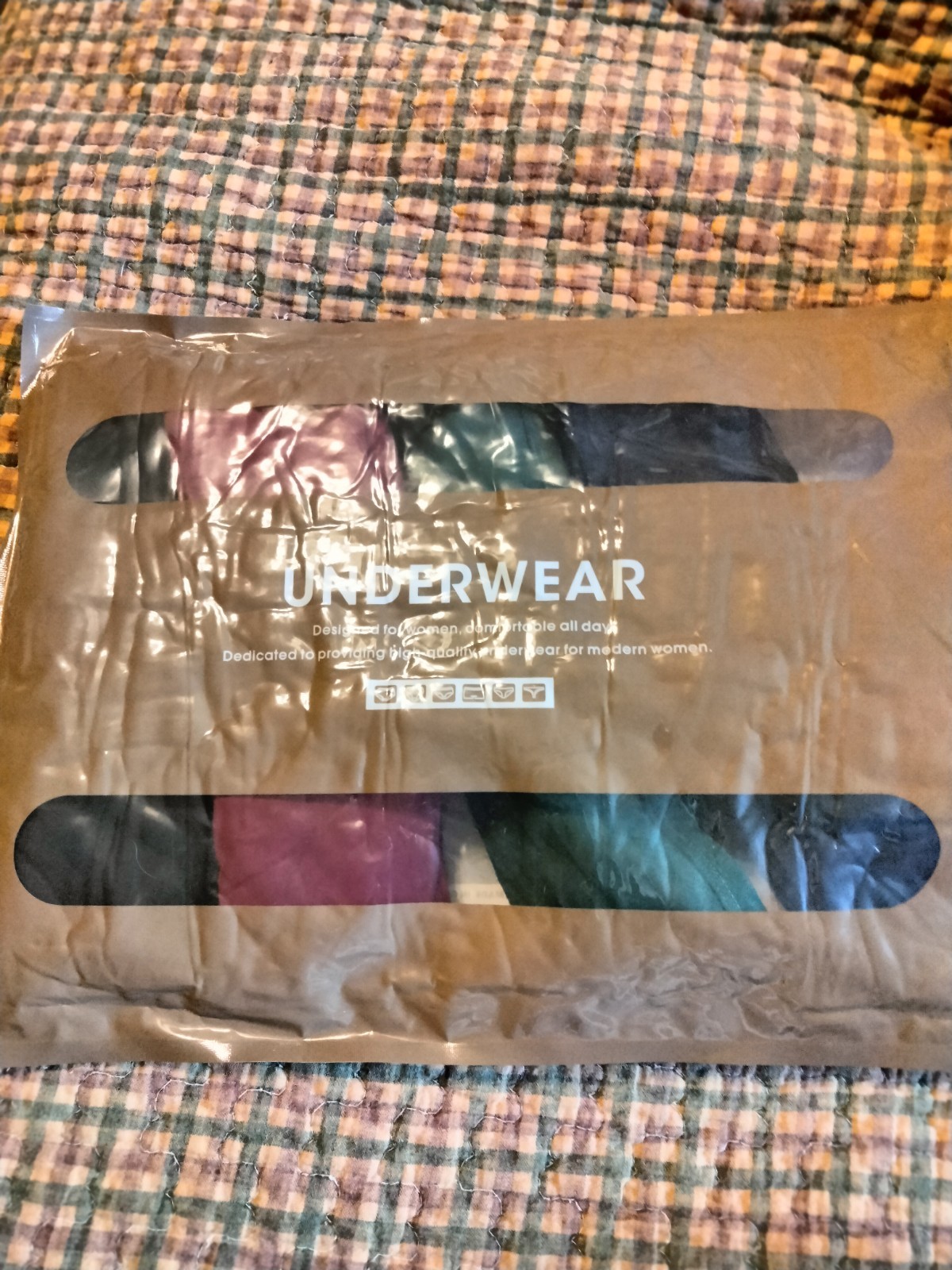 4 New Plus-sized Women’s Stretchy Cotton Underwear By Vivman In Multiple Colors