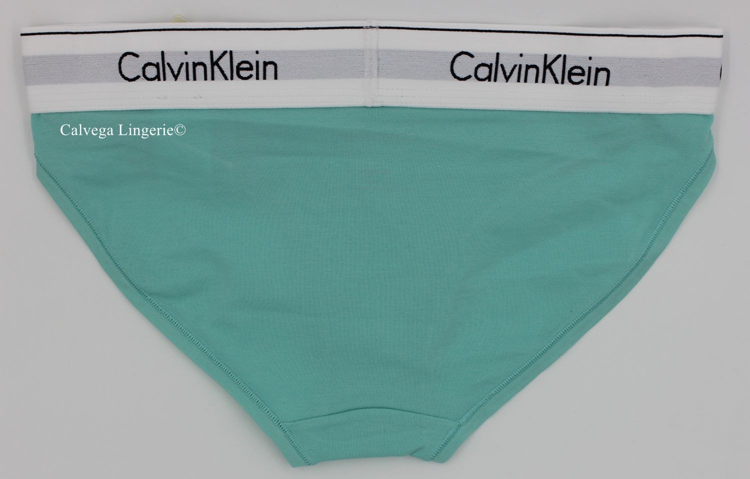 NWT Calvin Klein F3787 “Modern” Logo Cotton Bikini, Light Teal (336)