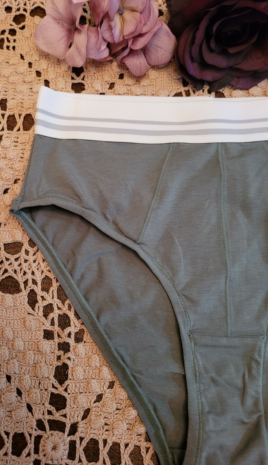 S/5 MAIDENFORM Super Soft Cotton Stretch DM032C~ HI-WAIST BIKINI Panty NWT