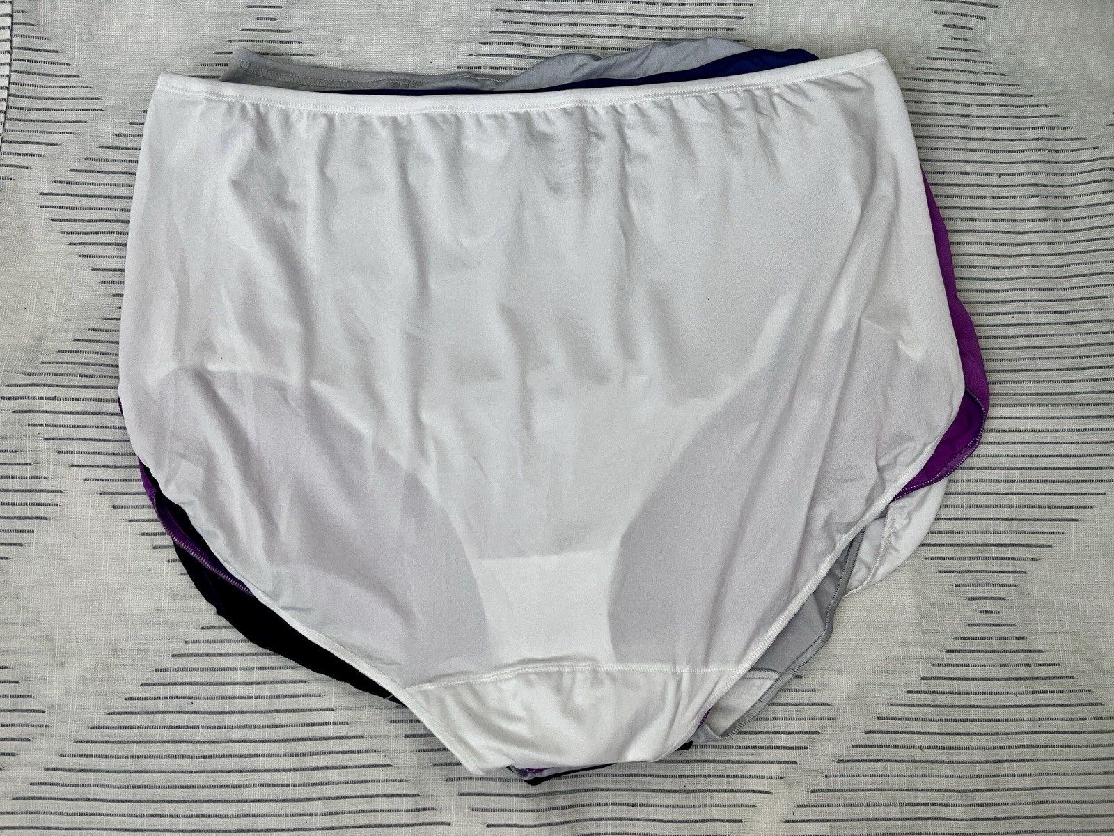 New 10 Pack Hanes Women’s Brief Underwear Size 10/3XL
