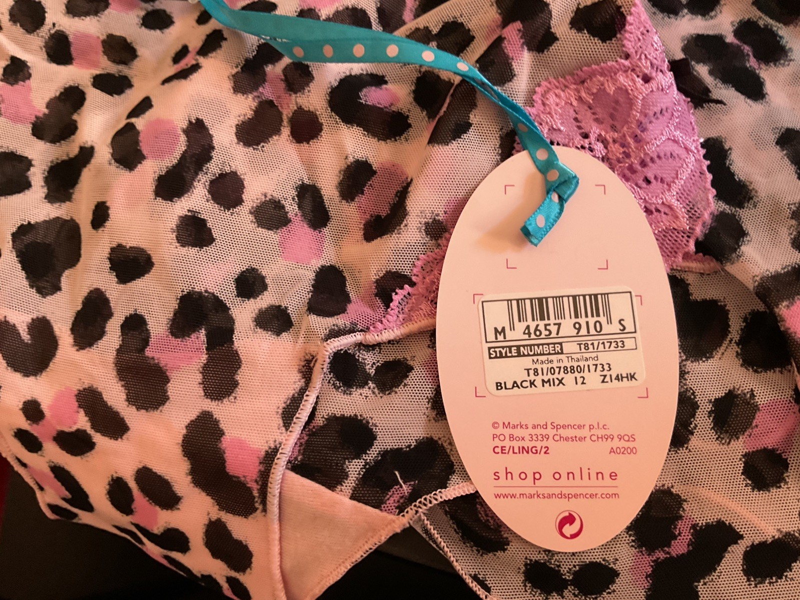 BNWT MARKS & SPENCER 12 LADIES BRIEFS KNICKERS CERISO PANTIES & matching Cami