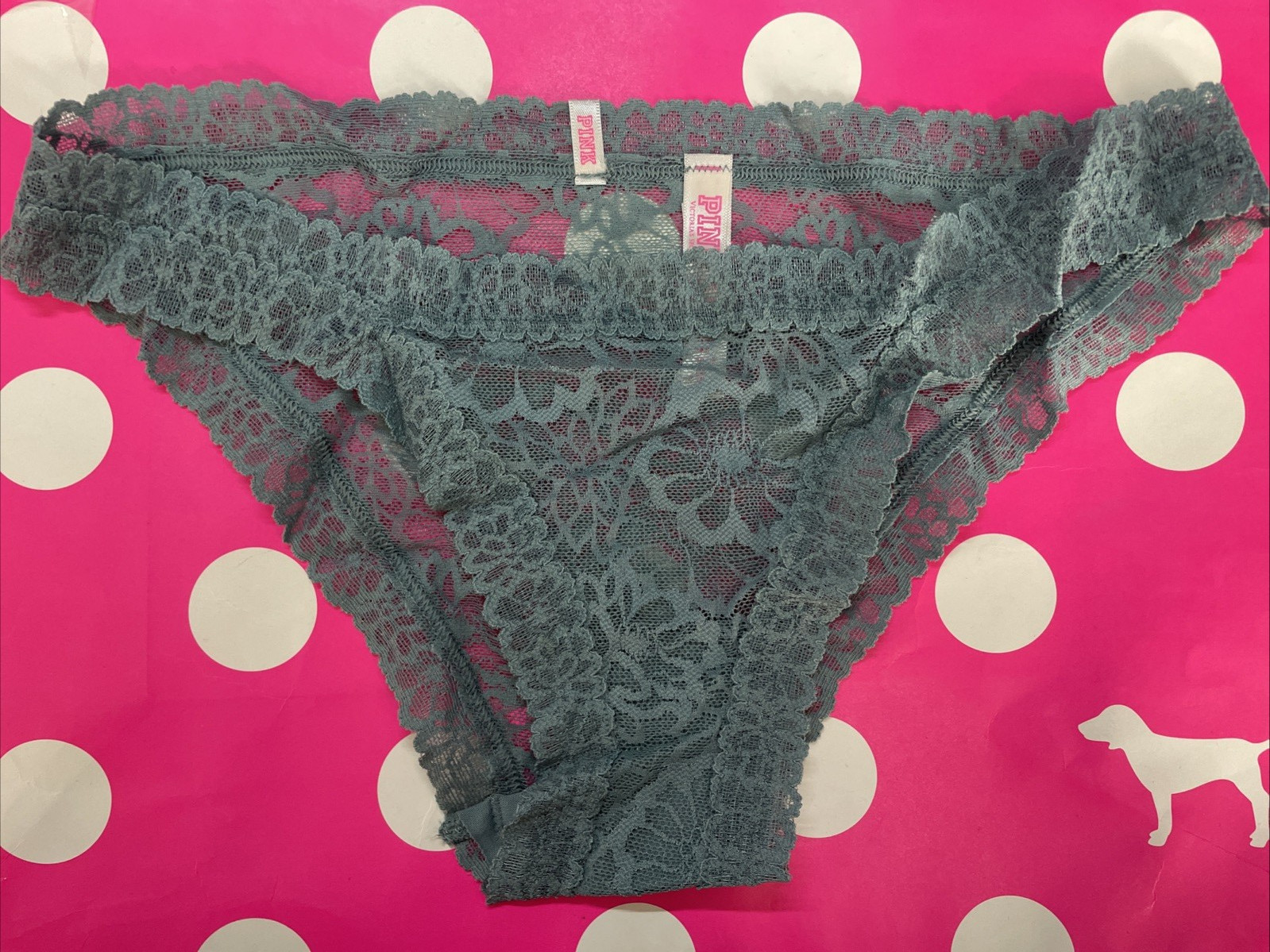 2016 Victorias Secret PINK Floral Lace String Bikini Panties NEW M Sheer Jade
