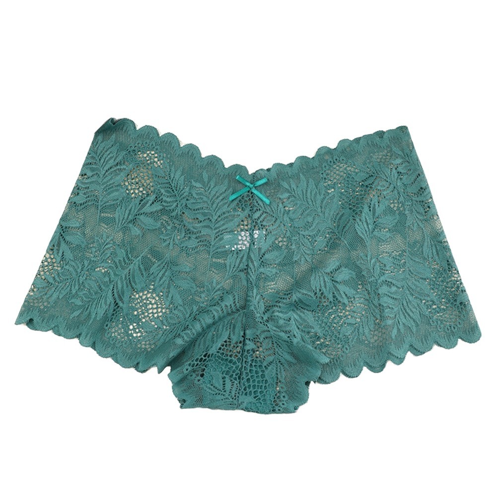 Women’s Soft Triangle Pants Transparent Lace Underwear for All Seasons