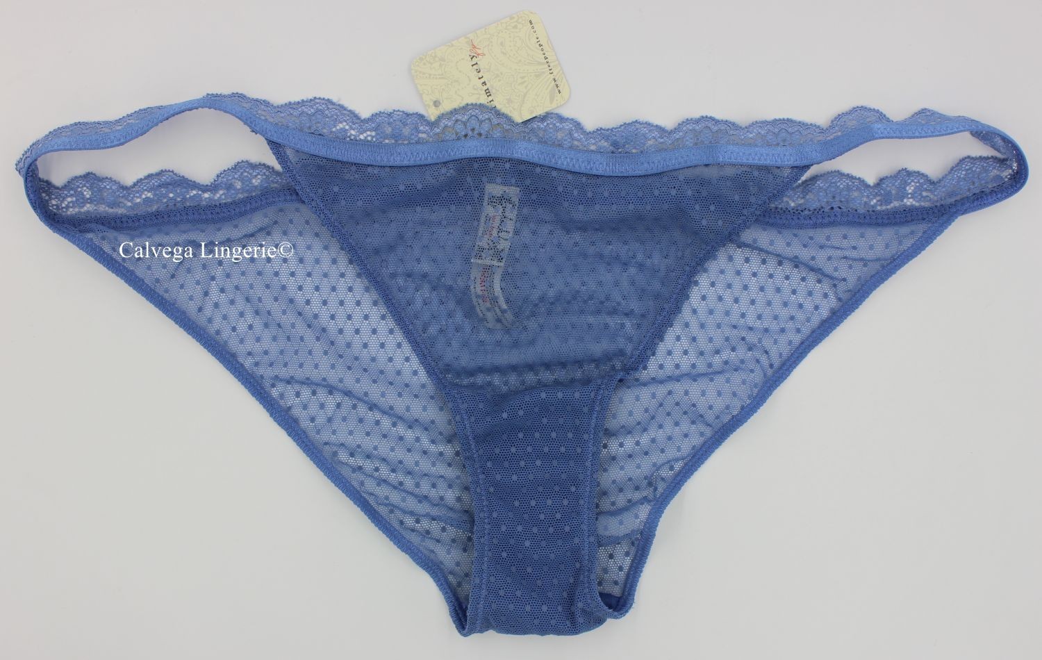 NWT Free People FP020423CY “Midweek” Low Rise Mesh / Lace String Bikini, Blue