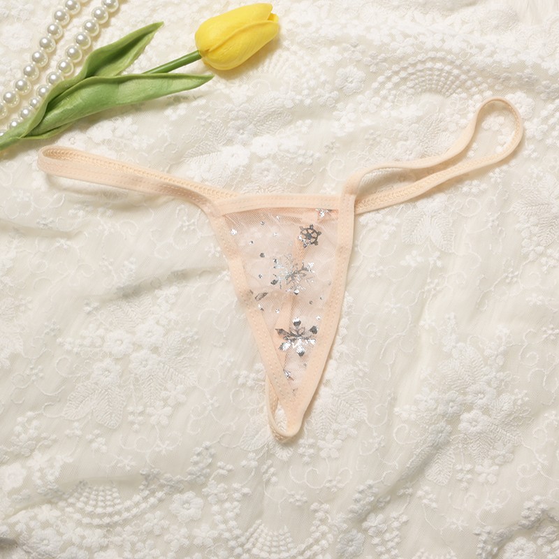 5 Pack Lot Sexy Womens See Through Sheer Panties G string Thongs Tanga Briefs