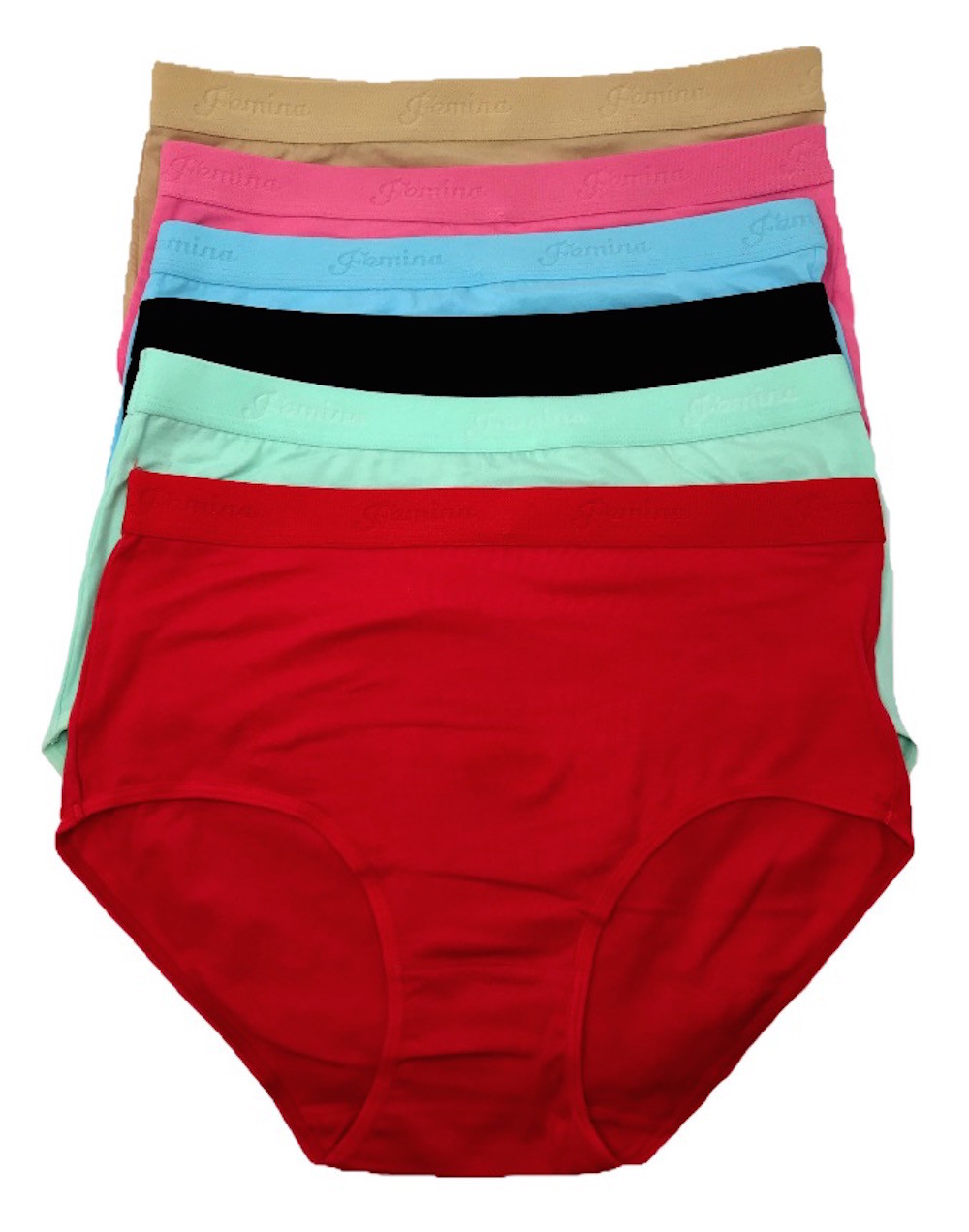 Women’s Plus 6-Pack Stretch Fit Beyond Soft Cotton High Classic Brief Z10920