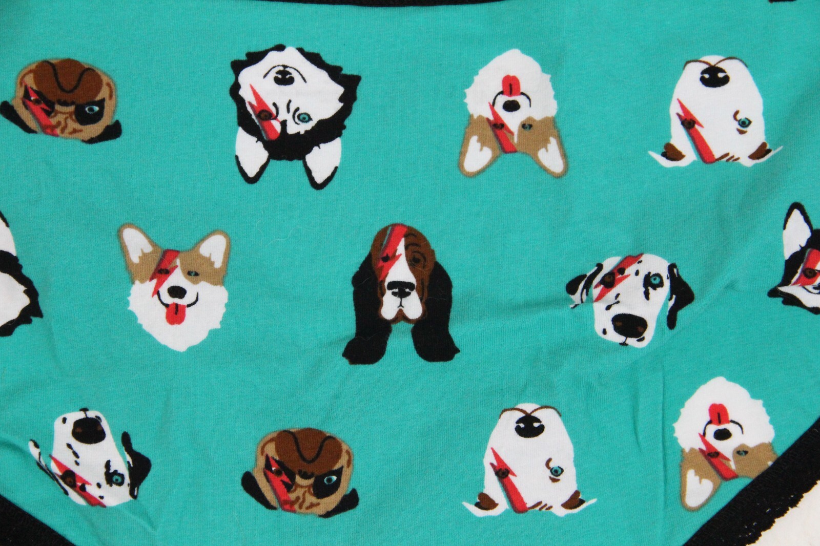 Sock it to Me Women Hipster Underwear New Medium Dog Panty Rock Roll Puppy
