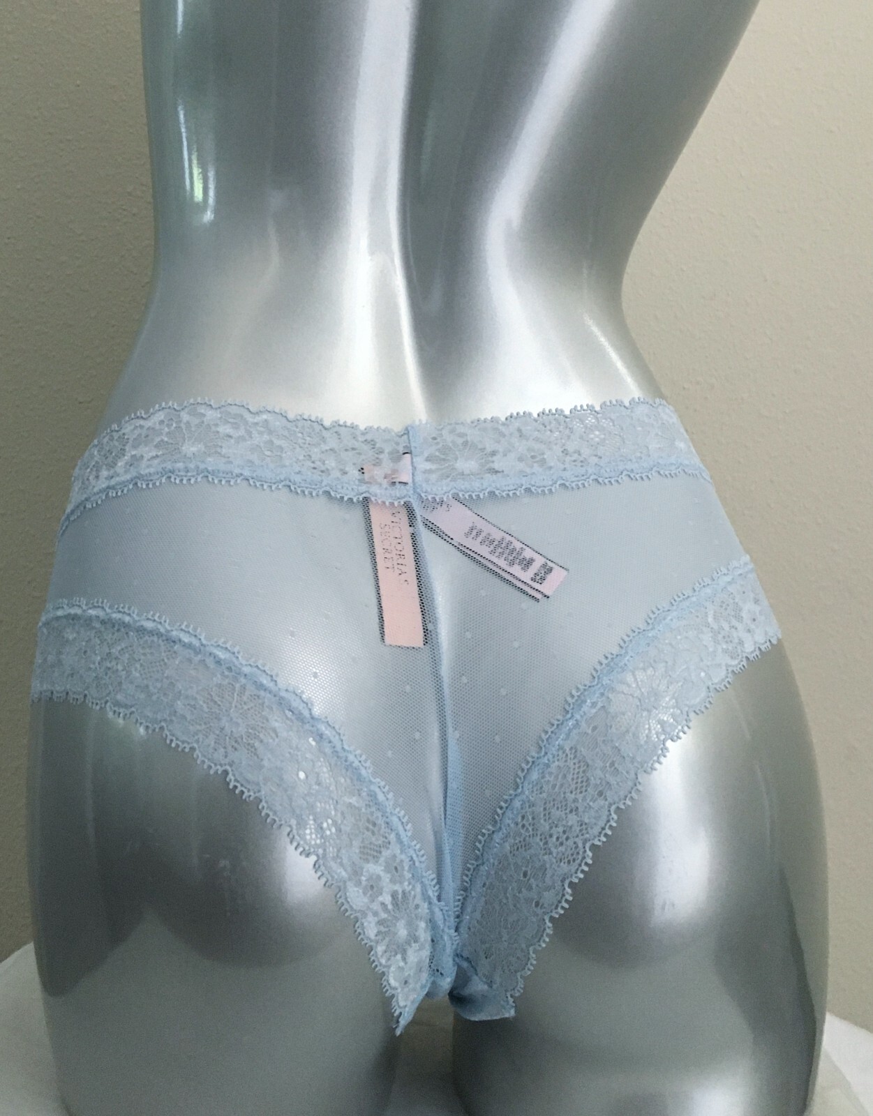Victorias Secret The Lacie Floral Frenzy Cheeky Panty Light Blue M Nwt