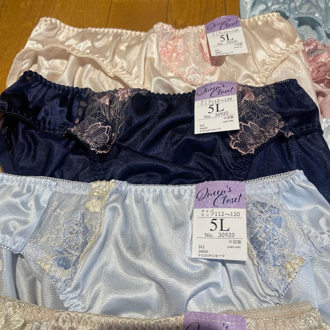 Japanese Glossy Nylon Panties Floral Lace Brief Set of 10 US size 2XL, JP 5L