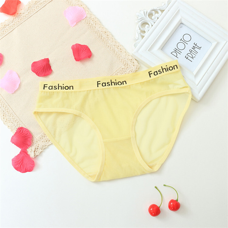 6PCS/LOT Sexy Womens See Through Sheer Panties Brief Lingeries Underwear Hipster