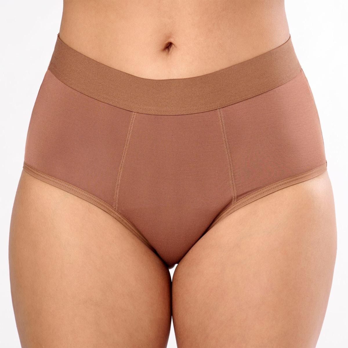 Rhonda Shear 3-pack Shear Protection Leak-Resistant Bamboo Brief Black