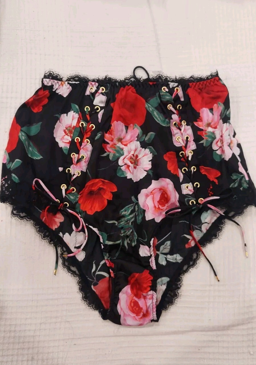 $150 VICTORIA’S SECRET ATELIER SILK LACE TRIM HIGH WAIST BRIEF PANTY S NEW W/T