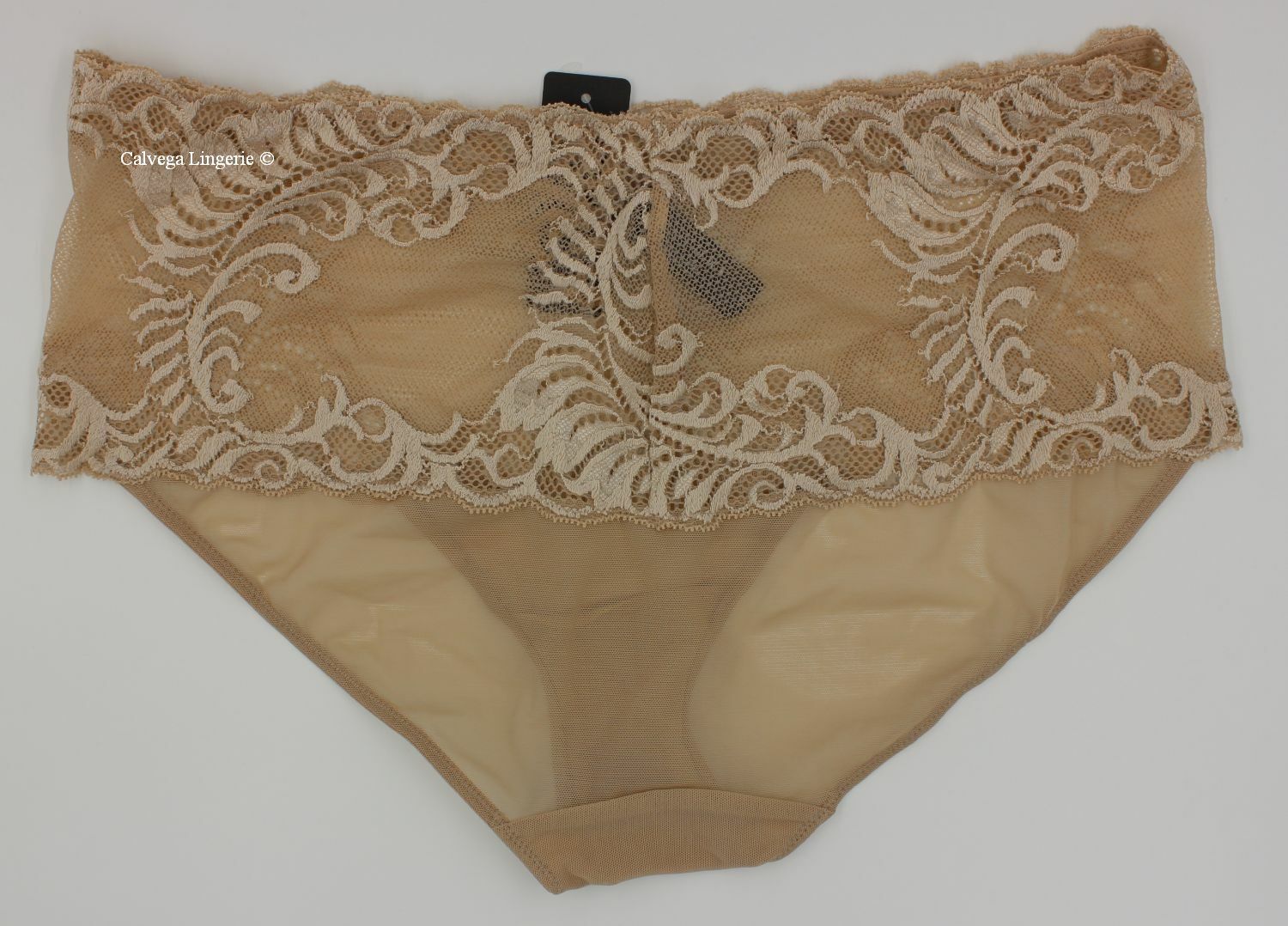 NWT NATORI 756023 “Feathers” Mesh w/Lace Boyshorts, Beige (“Cafe”), Plus Sizes