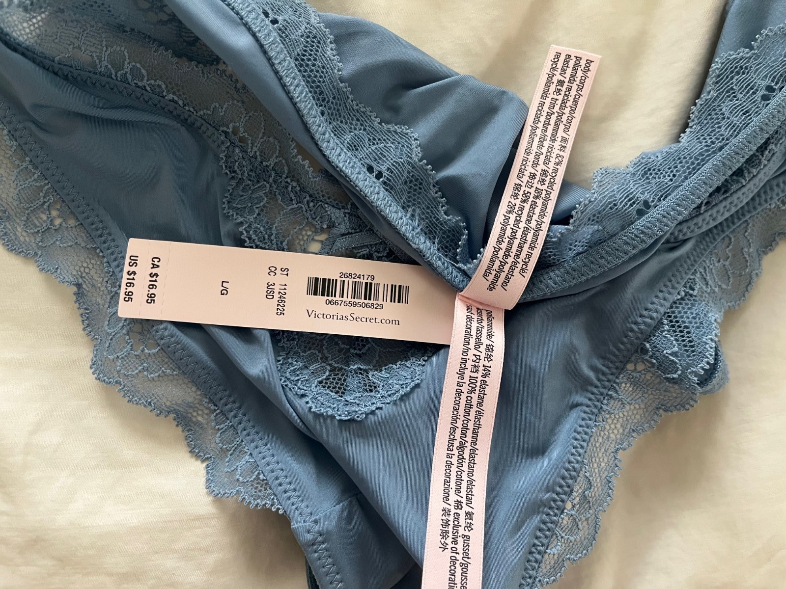 Victorias Secret Large Blue Dream Angel High Leg Brazillian Slip Panties RN54867