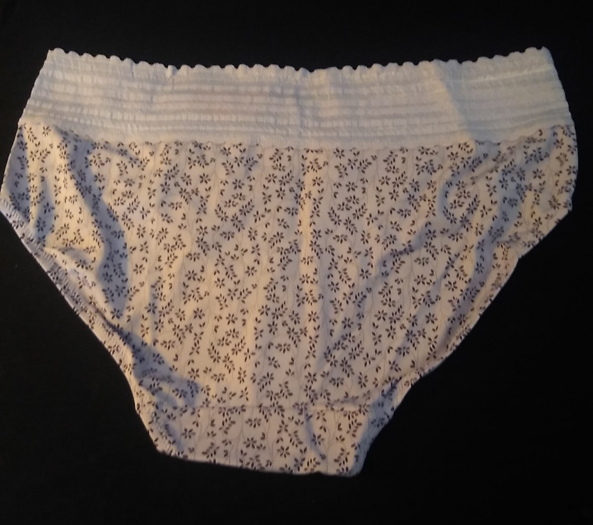 NWT Warner’s No Pinching, No Problems Hipster Panties 2 Pairs Size L 7