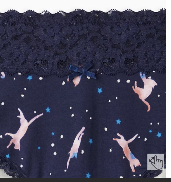 Torrid Size 3 Wide Lace Galactic Kitty Cheeky Blue Cotton Panty NWT