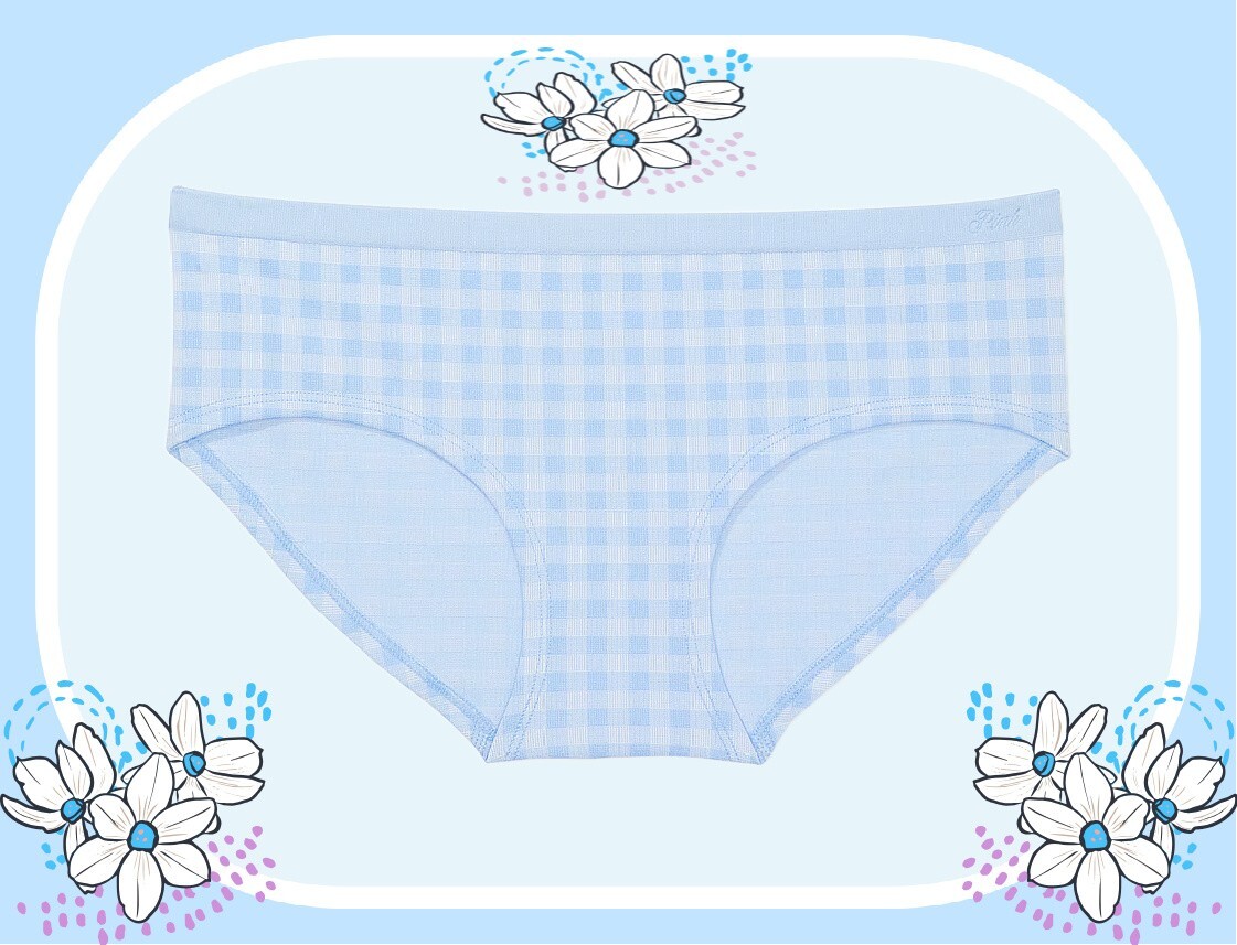 XXL Blue Gingham Jacquard Seamless Victorias Secret PINK Hipster Hiphugger Panty