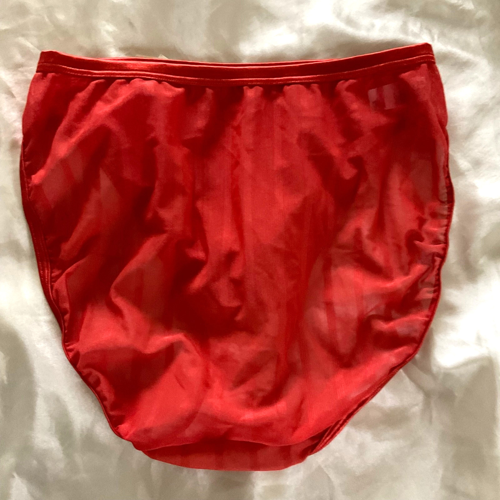 VINTAGE WARNERS THE NAKED TRUTH RED SHIMMERY SHEER BRIEF PANTIES Size 9 NWT