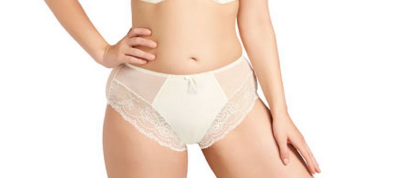 Elomi Maria Collection Lace Brief Panty Cream Ivory M L XL 3XL 4X 8505