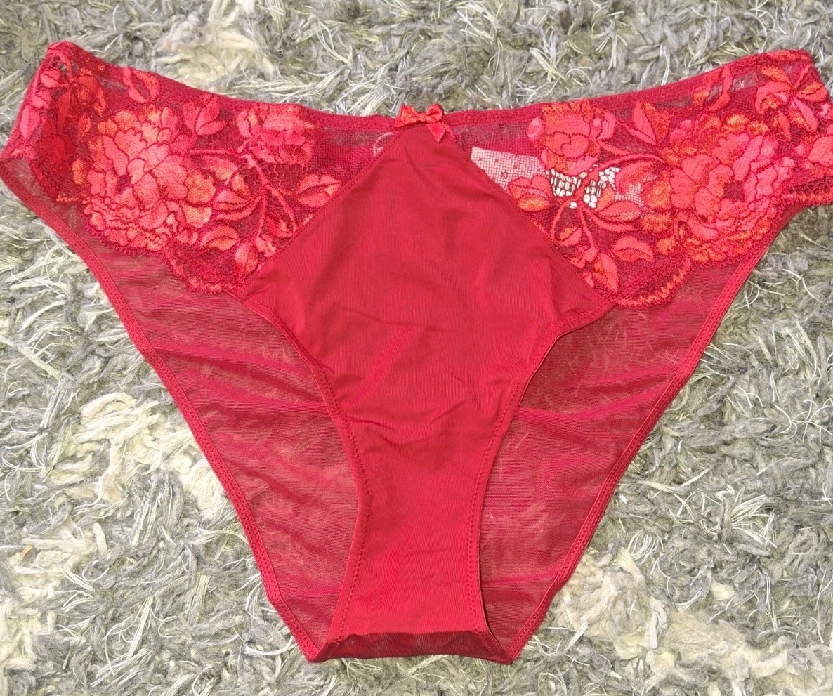 Adore Me/VS Lace & Mesh Brazilian Panty NEW Large Red