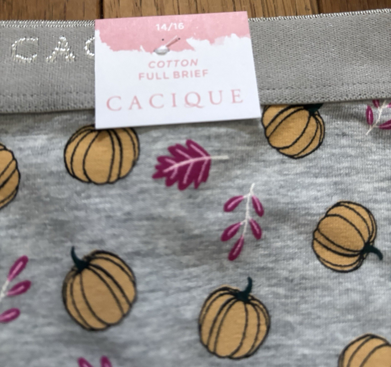 Plus Size 14/16 Lane Bryant Cacique Full Brief Cotton Panty Fall Leaves Pumpkin