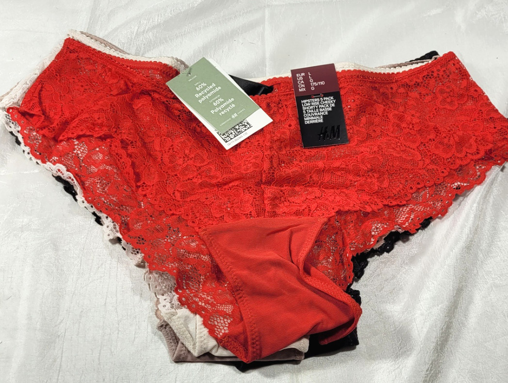 H&M 5 Pack Low Rise Cheeky Shorty Lace Hipsters Panties – Large (12/14)