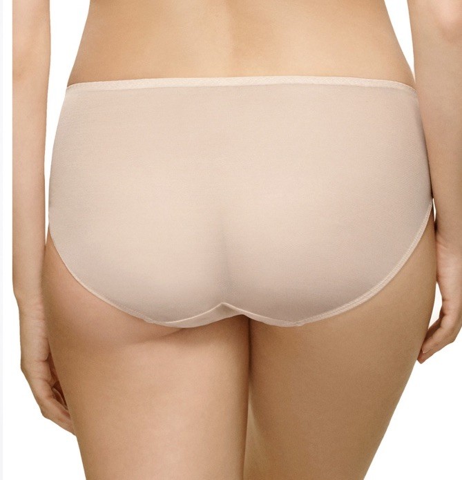 Wacoal EMBRACE 841191 Lace Underwear Lg Embroidered Floral Mesh Hi-cut Nude NWT