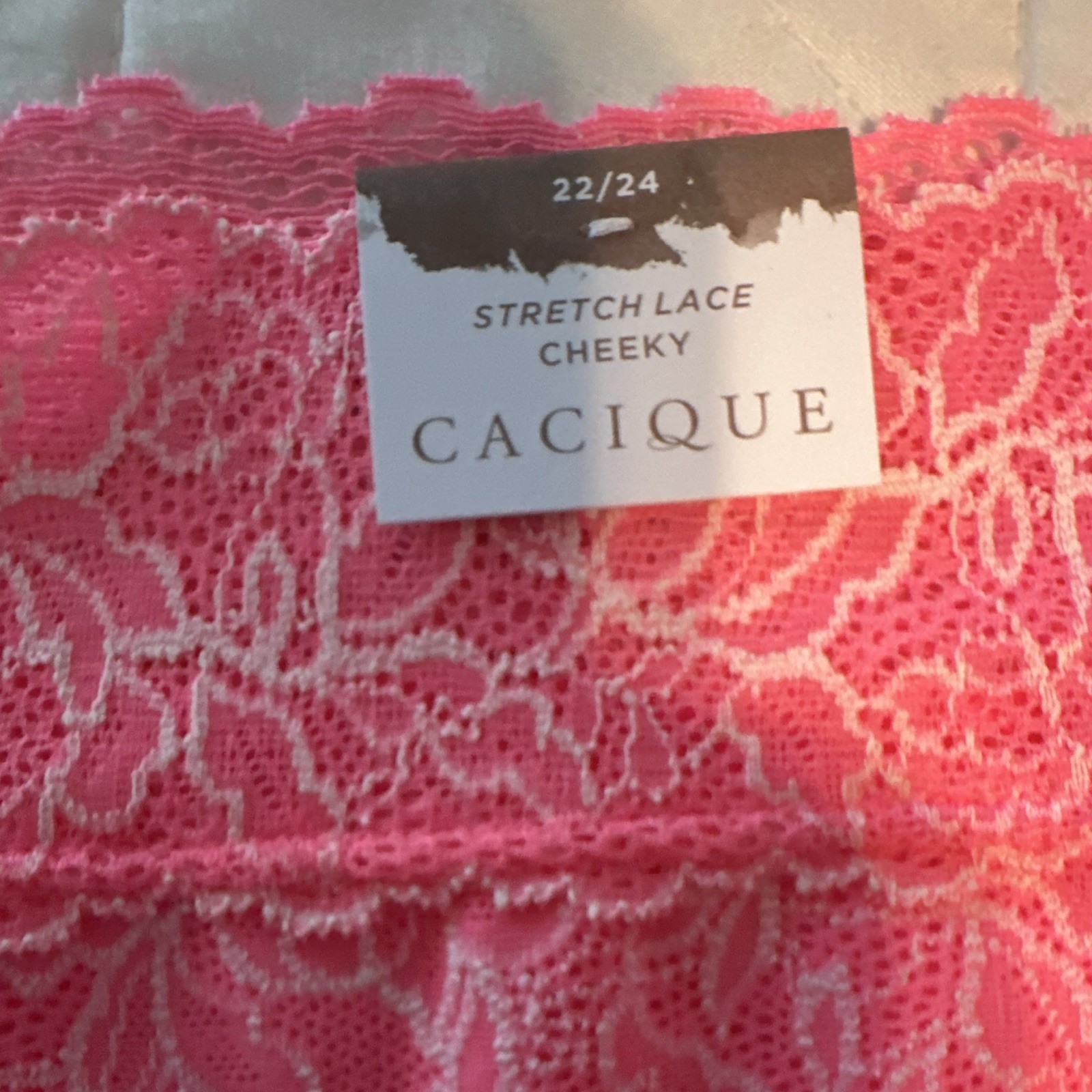 Cacique Women’s Plus 22/24 Pink Floral Lace Cheeky Panties Stretch 1 Pack
