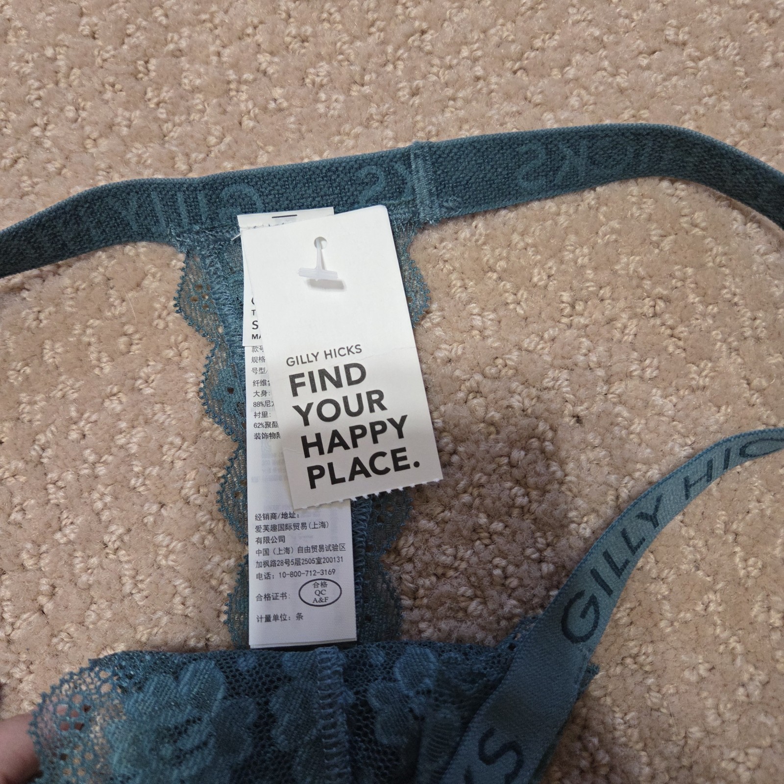 Gilly Hicks NWT Lace Teal Womens Thongs Size Small Sexy Skimpy Tight Nightlife