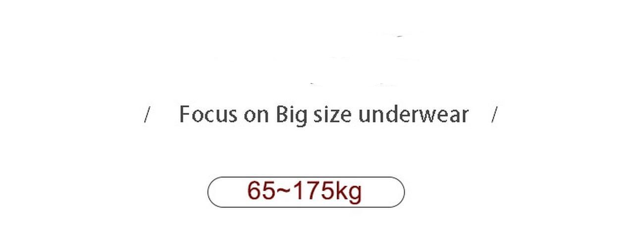 XXXL-5XL Plus Size High Waist Elastic Modal Cotton Briefs – Underwear Panty Wear