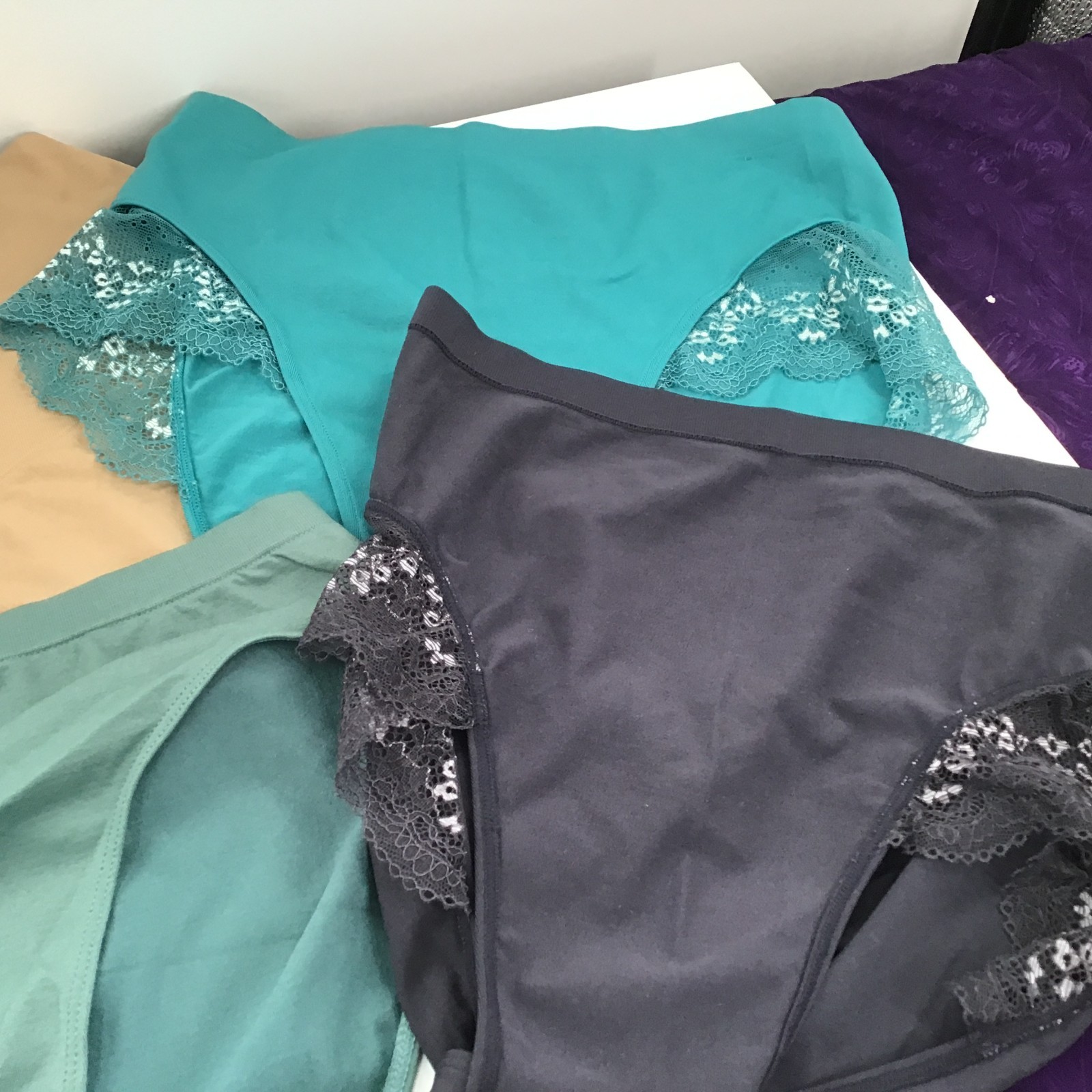 Assorted Style Rhonda Shear & Yummie Panties ( 4 ) 2XL – 3 colors -NEW