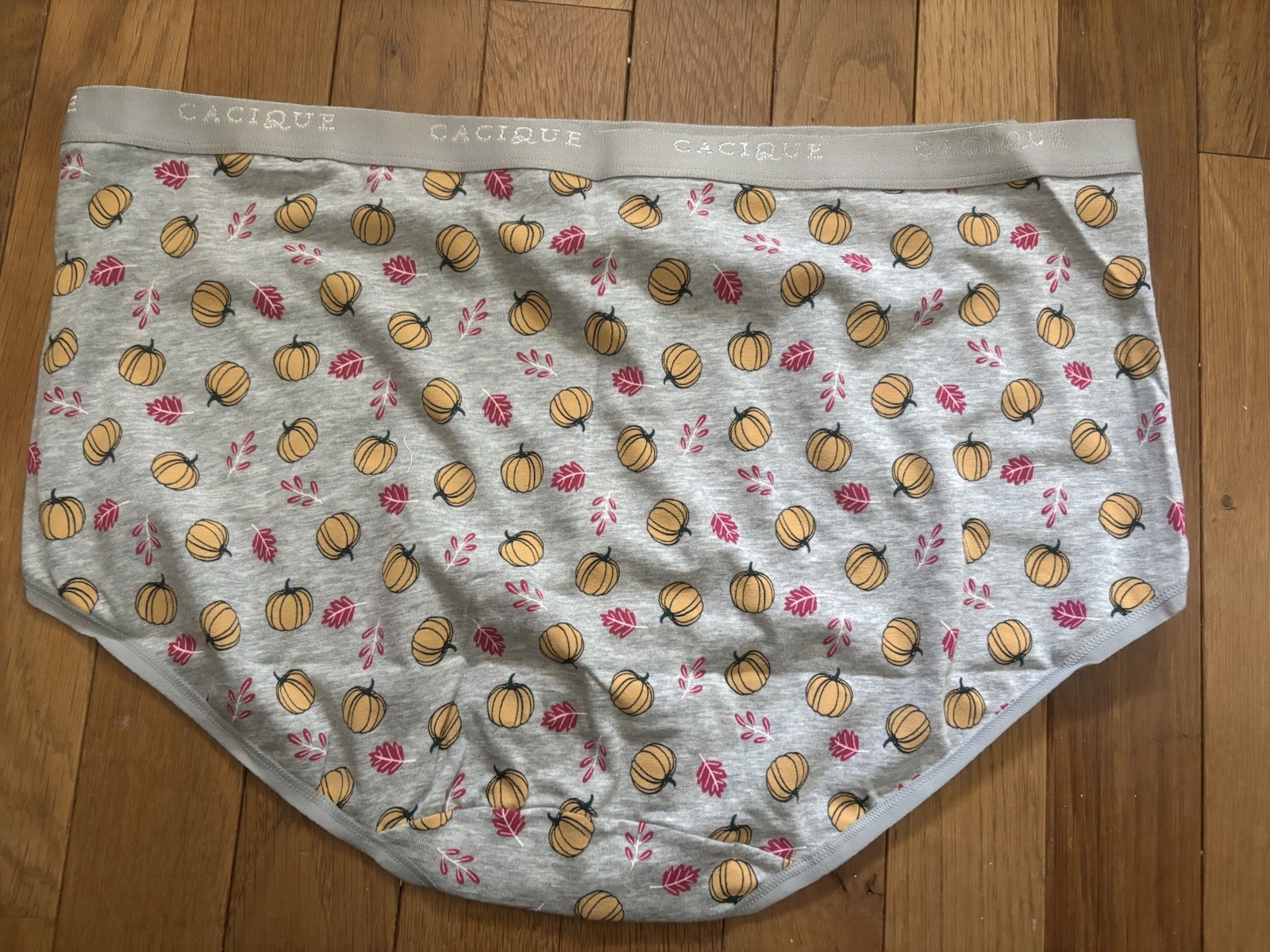 Plus Size 14/16 Lane Bryant Cacique Full Brief Cotton Panty Fall Leaves Pumpkin