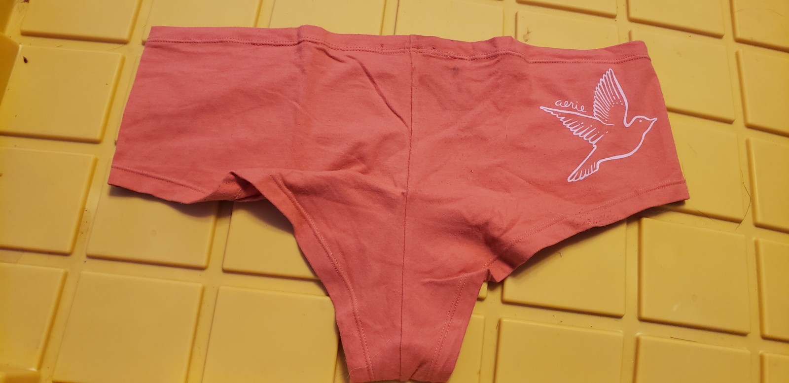 aerie panties large