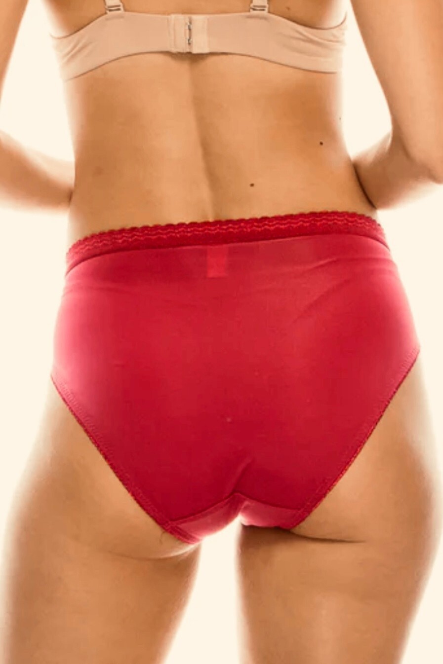 6 Pretty Silky Bikini Style Panties Women’s Underwear 63023 Plus 5XL Lace detail