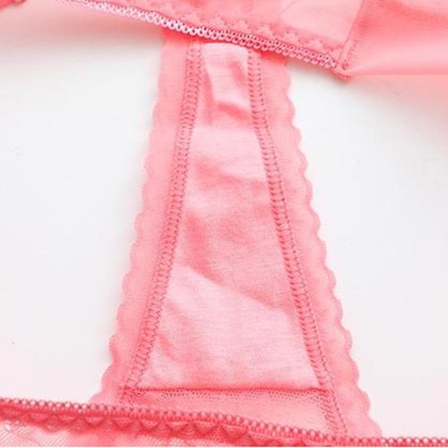 6 Pack Lot Sexy Womens See Through Sheer Panties Thongs Underwear Sissy Lingerie