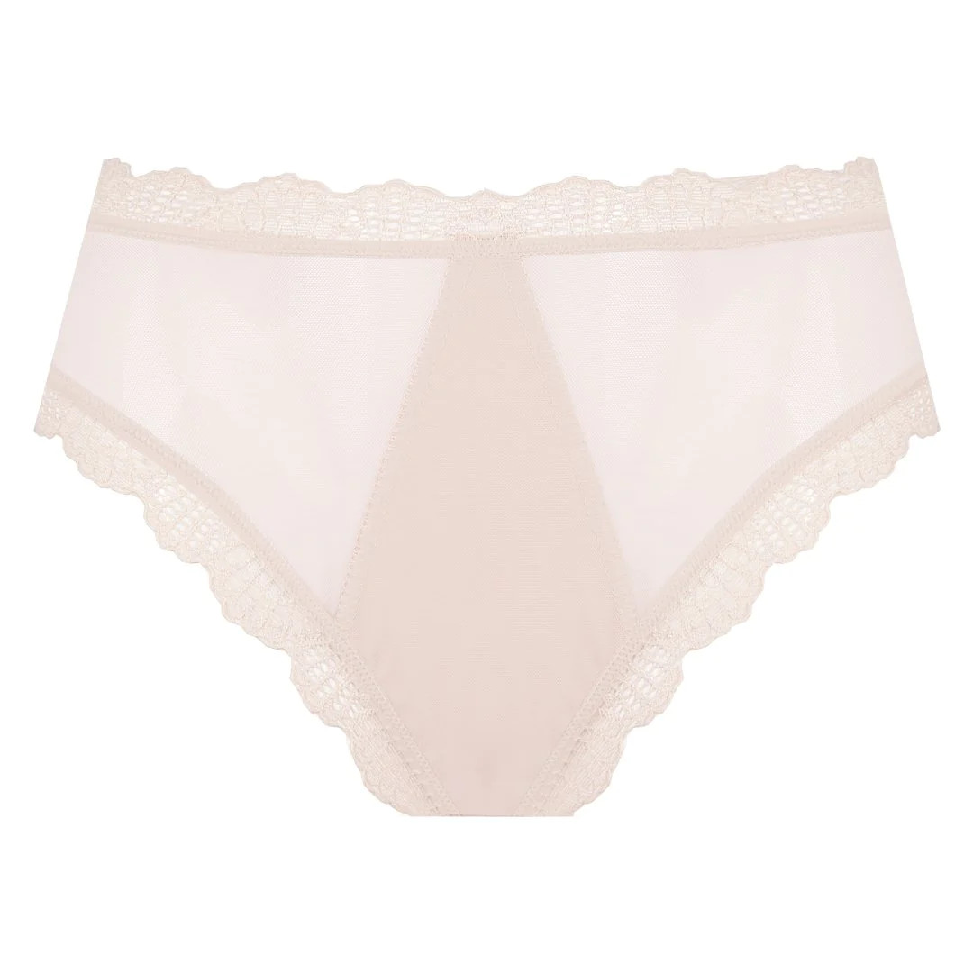 Sheer Mesh High Waist Brief Panty Pauletta