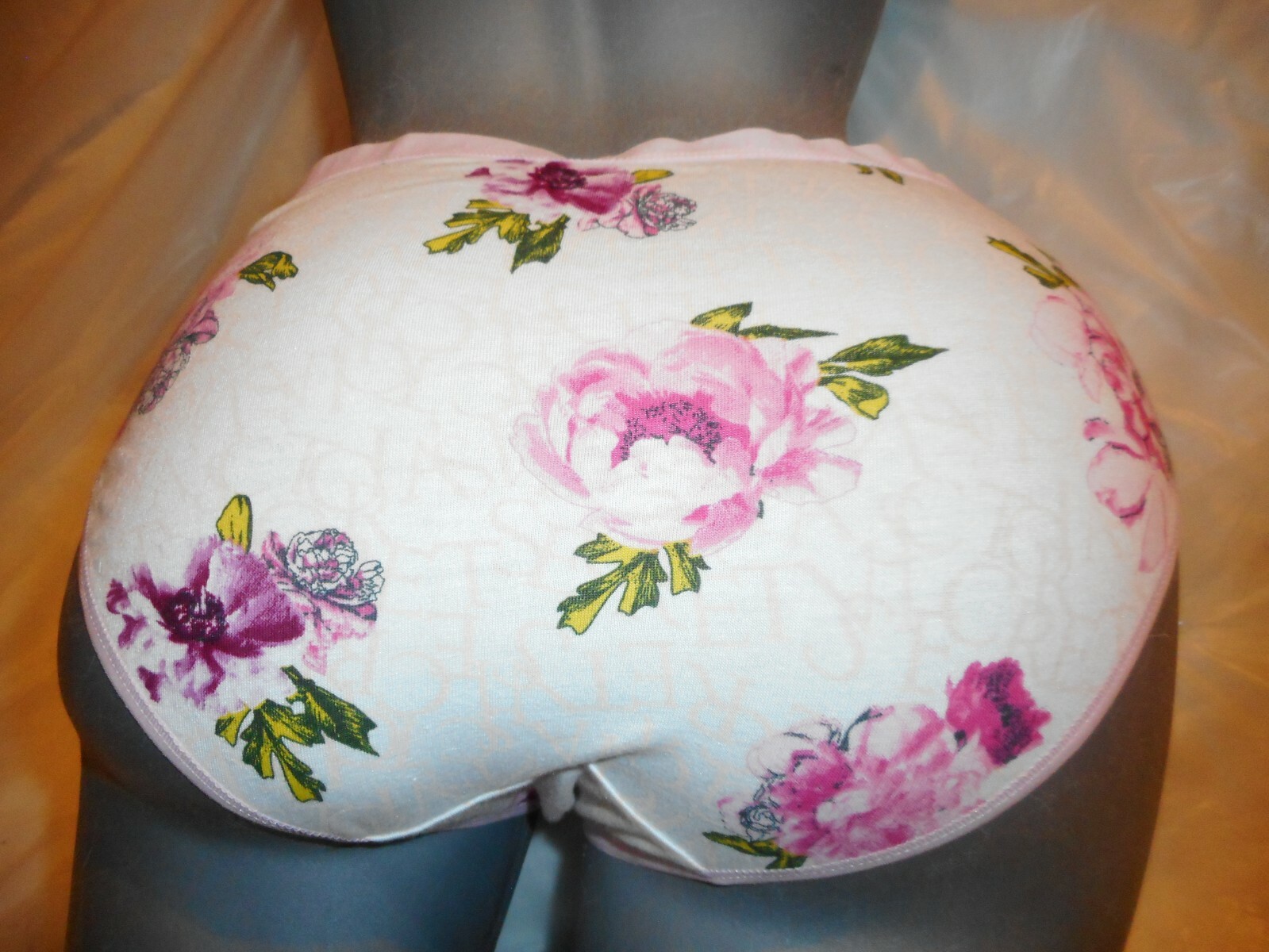 Victoria’s Secret Bikini & Hiphugger Hipster Floral Panty LARGE