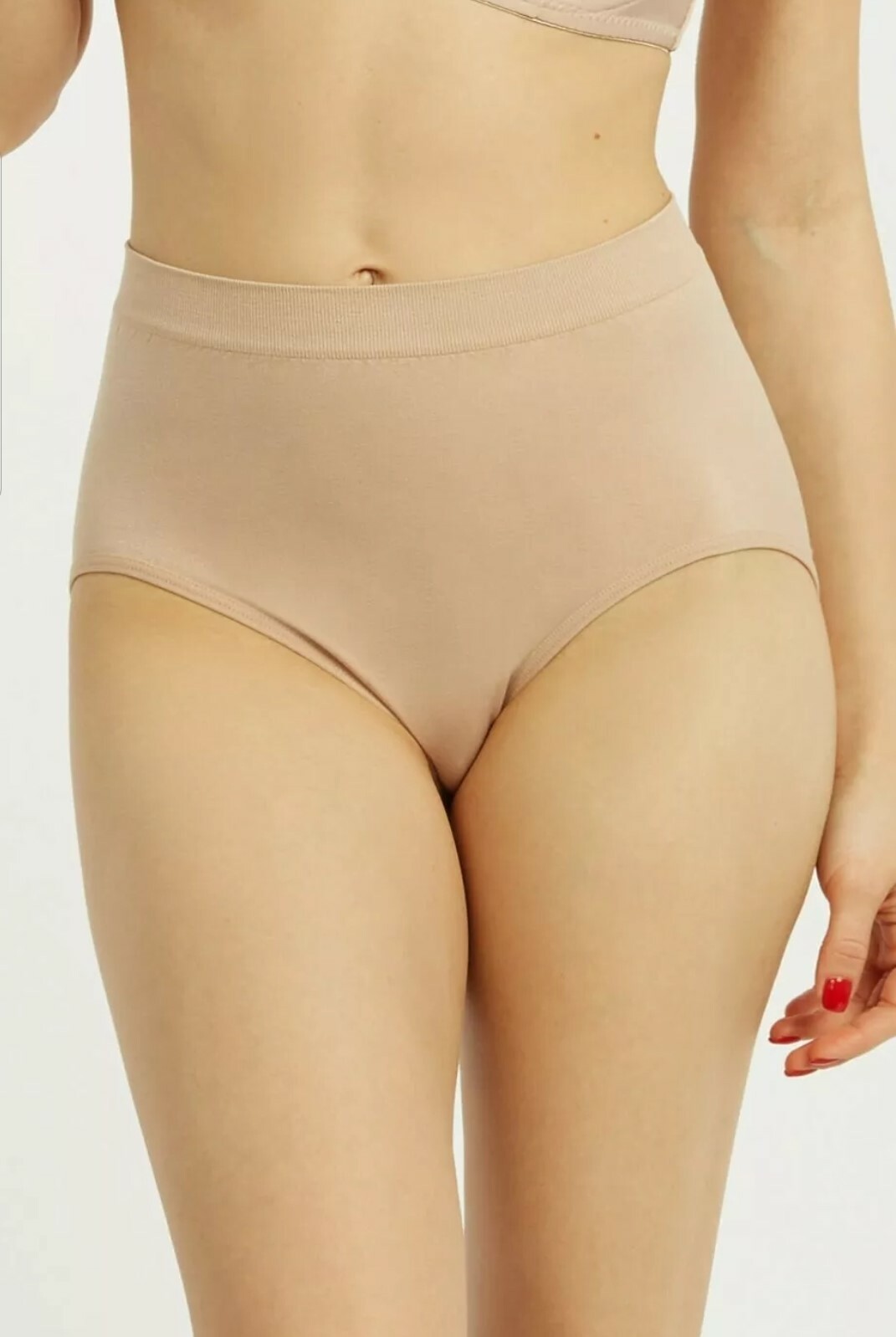 Women Smooth Stretch Silky Seamless High Rise Full Coverage Spandex Brief Panty
