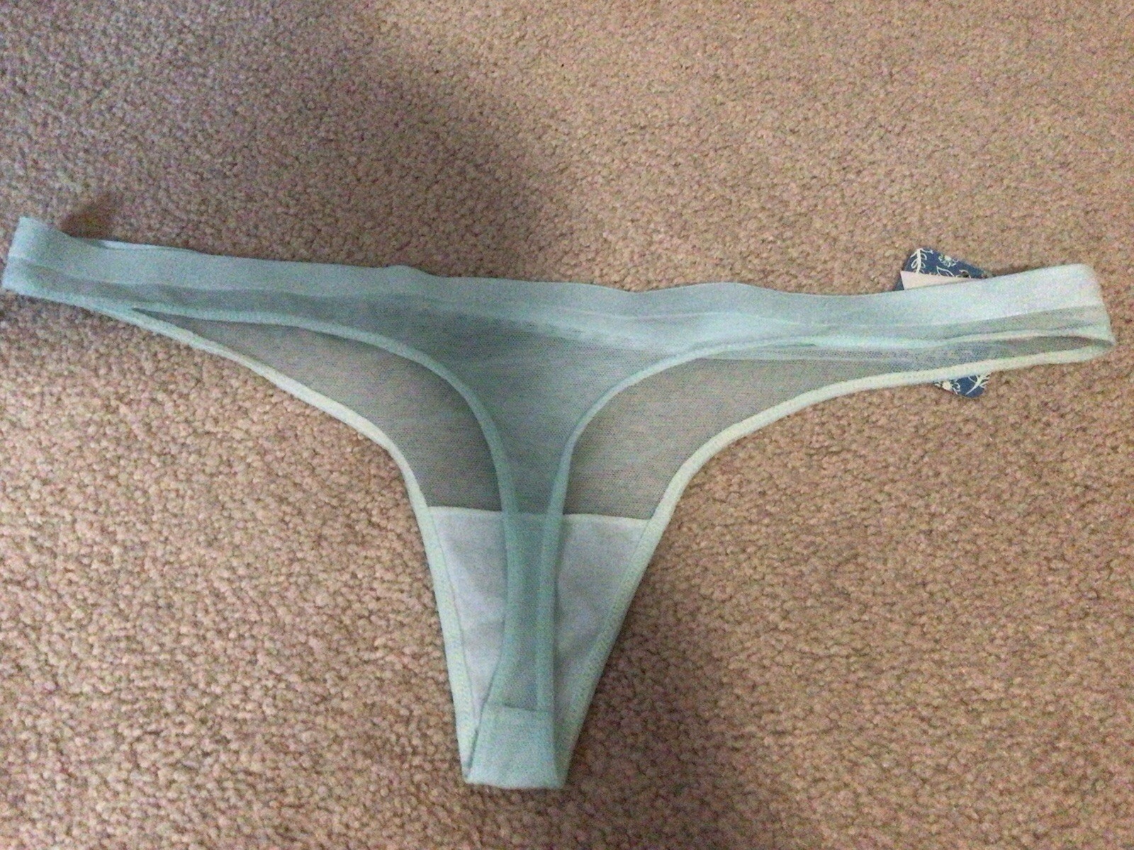FREE PEOPLE ROXANNE MESH THONG- BRAND NEW WITH TAGS- SIZE LARGE