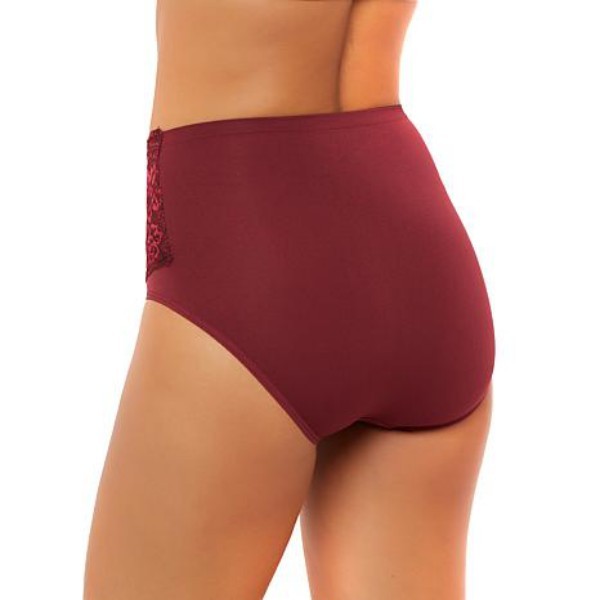 Rhonda Shear Dusty Rose Pink Lace Overlay Seamless Brief Panties S New