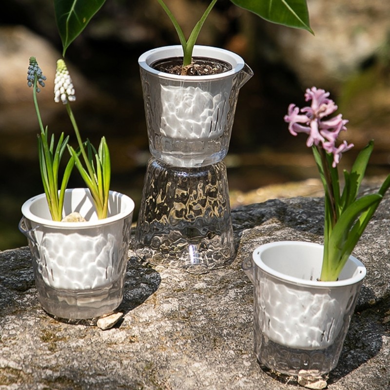 6pcs Lot Practical See Through Horticulture Holders For City Plant Lovers