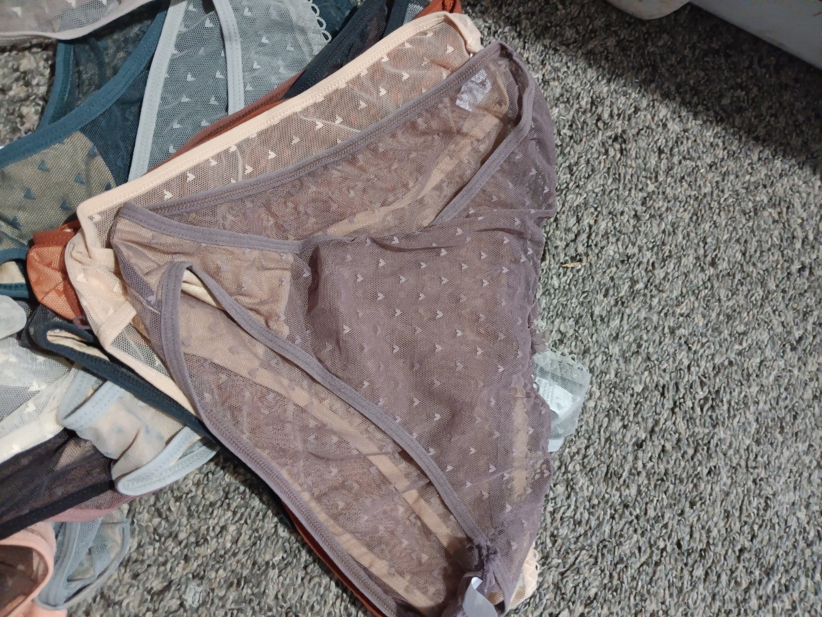 Women’s Mesh Bikini Panties Polka Dot Sheer Bow Accents Assorted Colors Size L