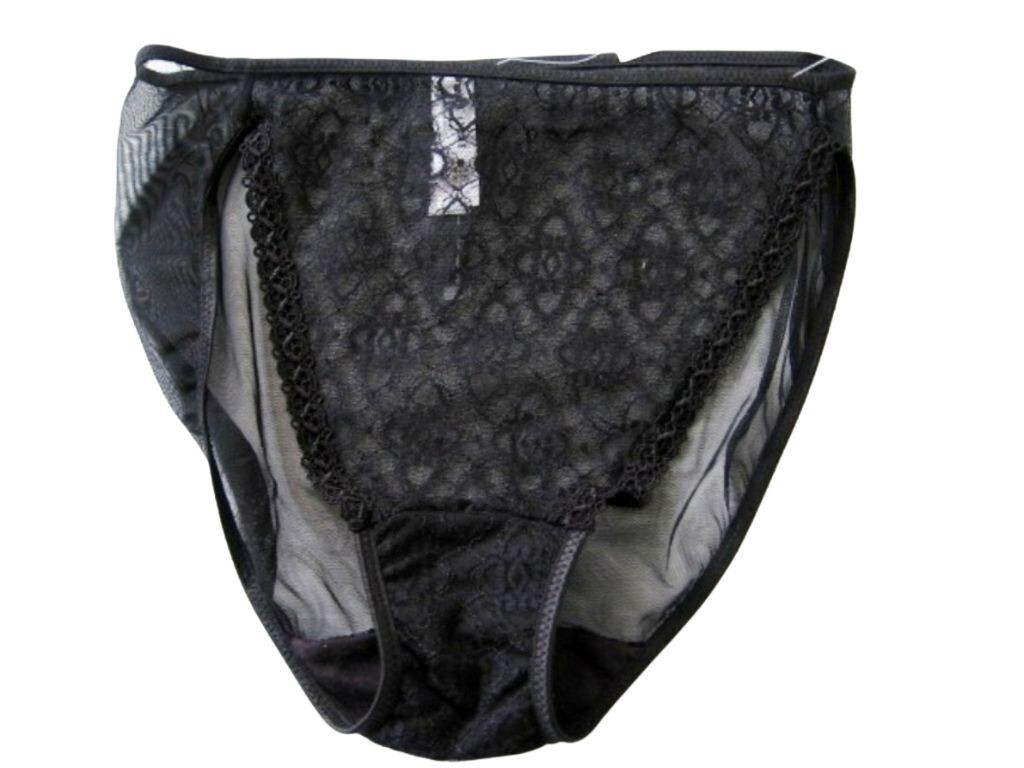 A0218 Natori NEW Women’s Currant Front Sheer Embroidery Lace Rear Mesh Bikinis S