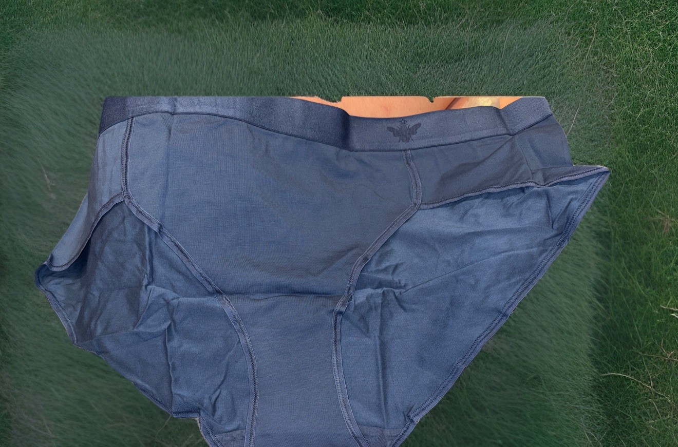 W”s Brief Elastic Cotton Modal Solid Bee Waistband 2X Rn 155348 Great Lake Color