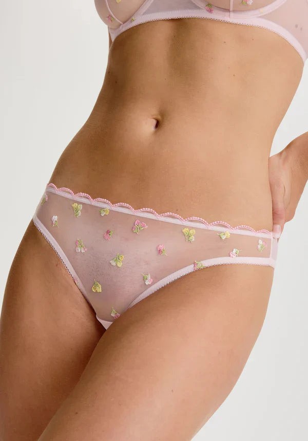 Blush Roseline Sheer Mesh Peek-A-Boo Bikini Panty Women’s Pink Lingerie 248424